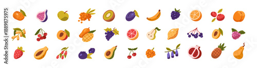 Different fruit and berries set. Fresh tropical food: halves of avocado, peach, orange. Various organic crops of garden. Exotic eating. Flat isolated vector illustrations on white background