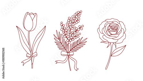 Elegant floral outline designs: tulip, mimosa, and rose with ribbons