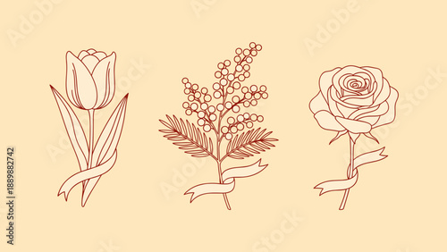 Botanical line art trio: tulip, mimosa, rose with ribbons on beige