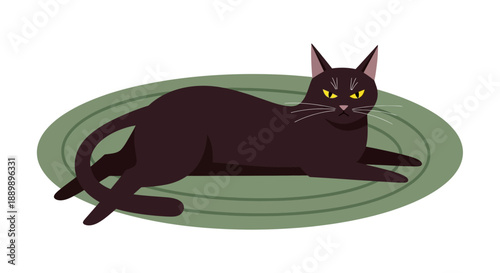 Black cat lying on a green circular rug viewed from the side in a calm environment