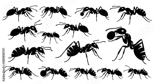 Detailed ant silhouettes portraying intricate insect anatomy and group behavior patterns