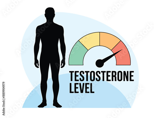 Graphic illustrating a man s silhouette alongside a testosterone level indicator
