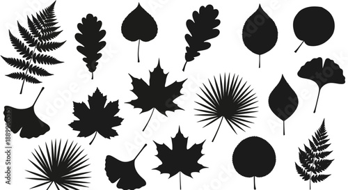 Diverse foliage vector art showcasing intricate designs and botanical silhouette collection ideal