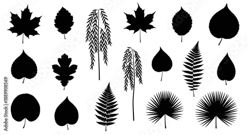 Diverse foliage silhouette collection showcasing various botanical species and tree silhouettes