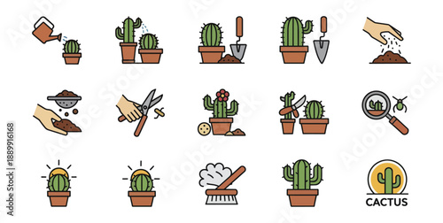 Cactus icons set gardening planting growing and care illustrations