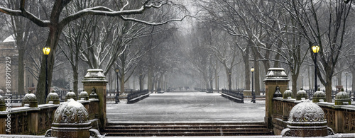 Canvas Print Central Park the Mall during snow storm