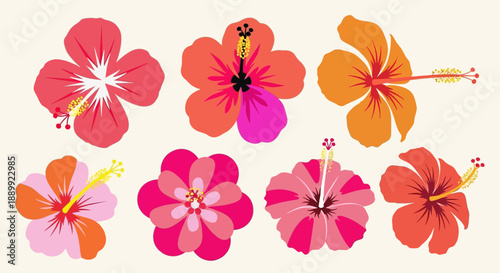 Vibrant flowers arranged in a grid pattern showcasing various colors and designs