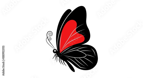 A black and red butterfly illustration with delicate wings and antennae, viewed from the side