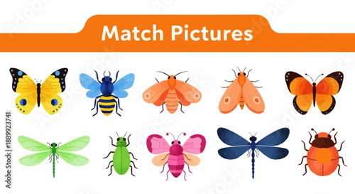 Diverse collection of colorful insects including butterflies and beetles displayed for matching game