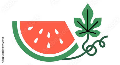 A fresh slice of watermelon with vine and leaf, summer refreshment illustration