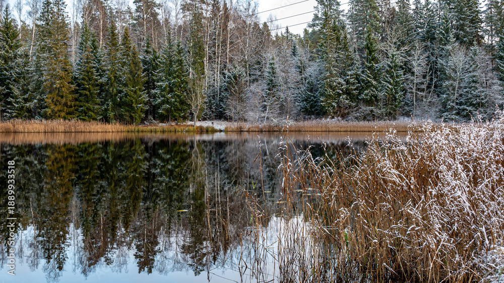 Obraz premium landscape with a lake in late autumn, blue sky, reflections in the water