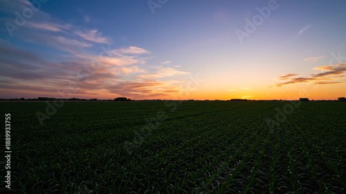 Sunset over agricultural field with crops.