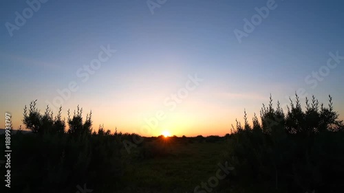 Sunset over Silhouetted Landscape with Vegetation.