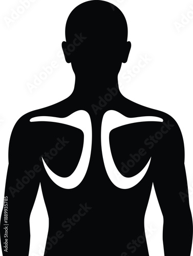 Male Silhouette with White Outline of Shoulder Blades on White person human