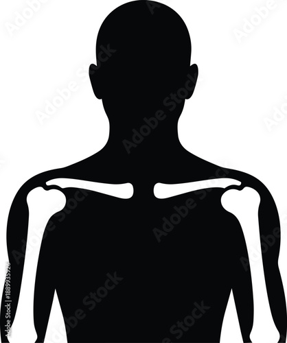 Silhouette of a human torso with visible shoulder and arm bones human anatomy skeleton