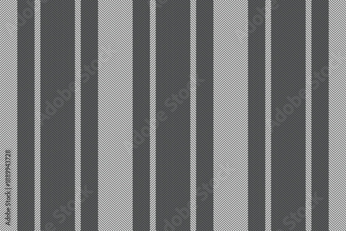 Us pattern texture stripe, age background vector vertical. Diwali lines textile fabric seamless in neutral and grey colors.