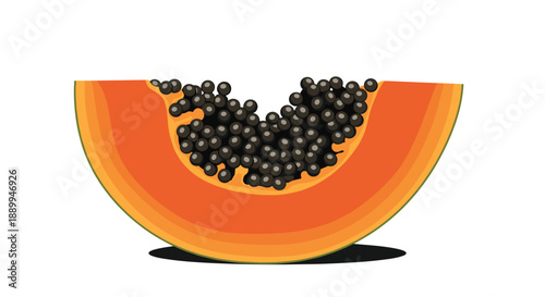 Sliced piece of ripe orange papaya fruit displays numerous small black seeds in a vibrant and realistic graphic illustration art.