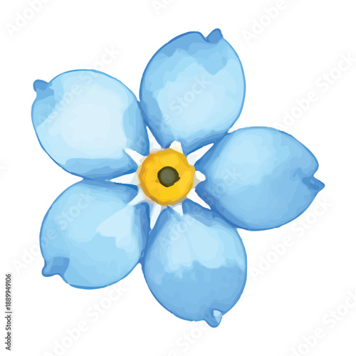 Delicate Watercolor of a Single Blue Forget- Me- Not Flower with illutrastion transparent background