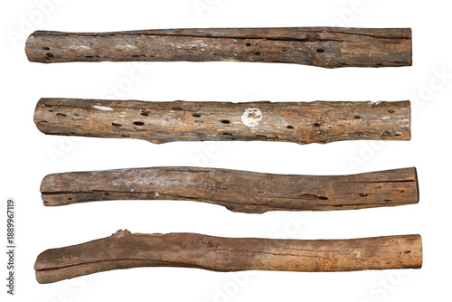 Obraz na płótnie Weathered driftwood log and rustic broken tree branches