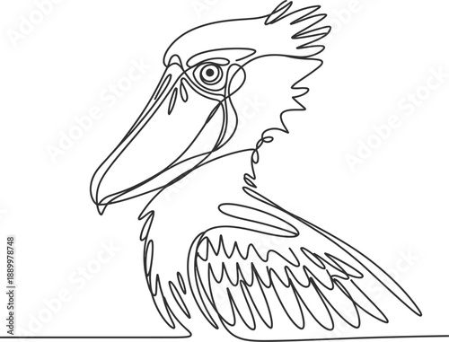 Black and white line of a bird with a large beak and detailed feathers