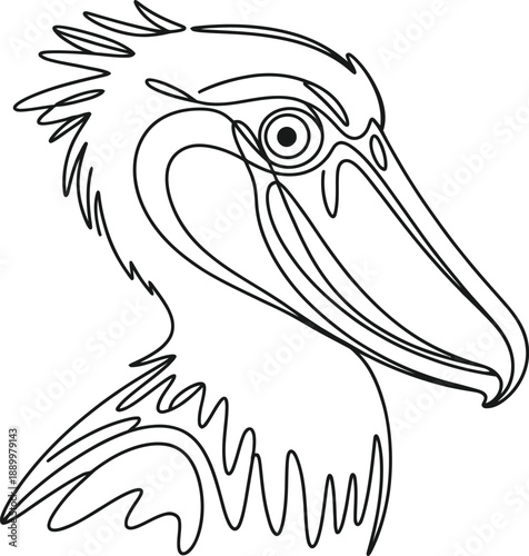 Black and white line of a bird with a long beak and feathers