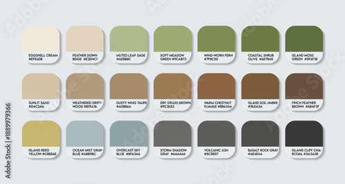 inaccessible island finch bird Color Palette with HEX Codes. Nesospiza acunhae color Palette with names. back brwon mix animal colour tone switch. green with brown mixed color shades for fashions