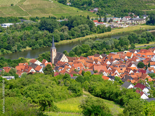 Blick vom Schwarzkiefernwald auf dem Volkenberg nach Erlabrunn am Main, Landkreis Würzburg, Unterfranken, Franken, Bayern, Deutschland