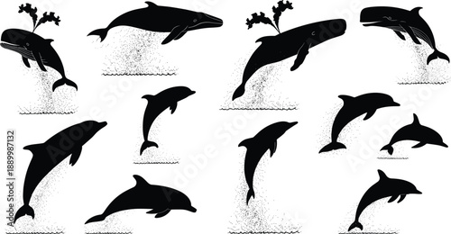Dynamic black silhouette of whales and dolphins leaping and splashing in the ocean water