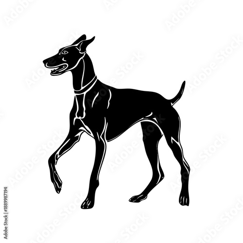 Doberman Silhouette: Standing Doberman Pinscher dog silhouette.