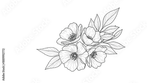 Black and white line art illustration of a beautiful flower bouquet with various blossoms and leaves isolated on a white background.
