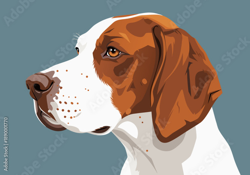 Detailed vector illustration of a German Shorthaired Pointer dog's head in profile against a neutral background