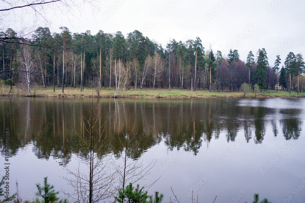 Fototapeta premium Forest lake with still water reflecting trees in spring