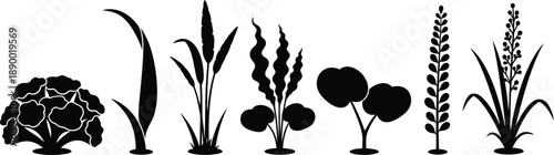 a collection of various botanical silhouettes including leafy plants grains and textured cabbage heads presented in black high quality professional detailed