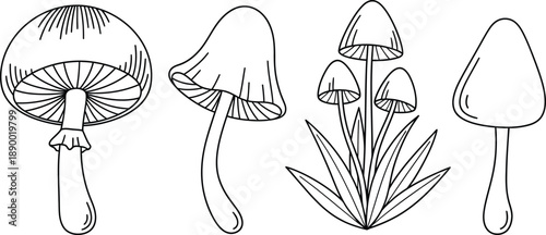a detailed black and white illustration depicts various types of mushrooms in different shapes sizes and groupings showcasing their unique forms
