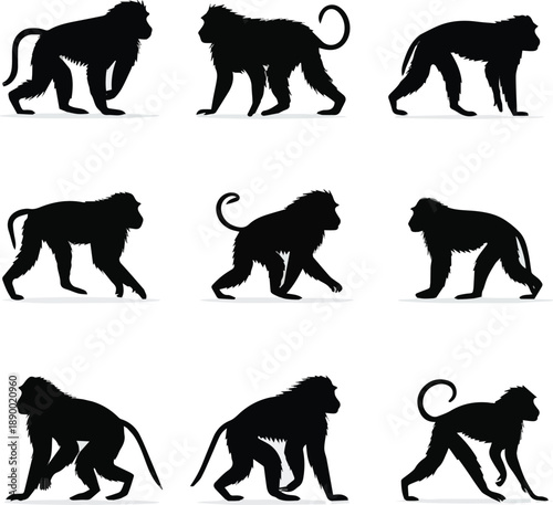 Created on Baboon monkey silhouette illustration set, wild animal walking and standing poses collection on black and white backgroud