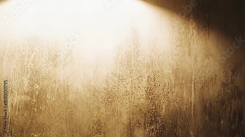 Rough concrete wall with warm golden light from above, aging plaster and paint textures blending into deep shadows for a moody, distressed abstract background and copy space