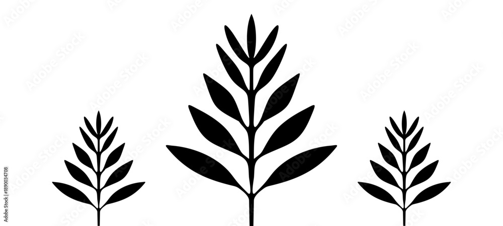 Fototapeta premium Minimal Black Leaf. tree vector icon set collection cute plant. Vector Illustration.