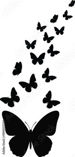 A large black butterfly is surrounded by a swarm of smaller butterflies in flight from a lower viewpoint