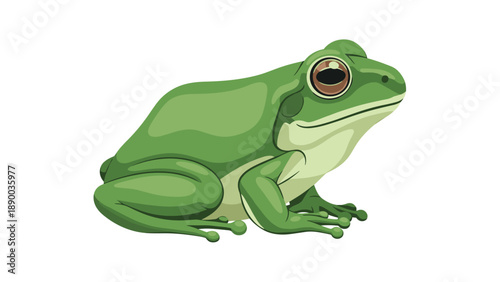 A realistic illustration of a green tree frog sitting on a surface, showcasing amphibian characteristics, wildlife, and the natural world.