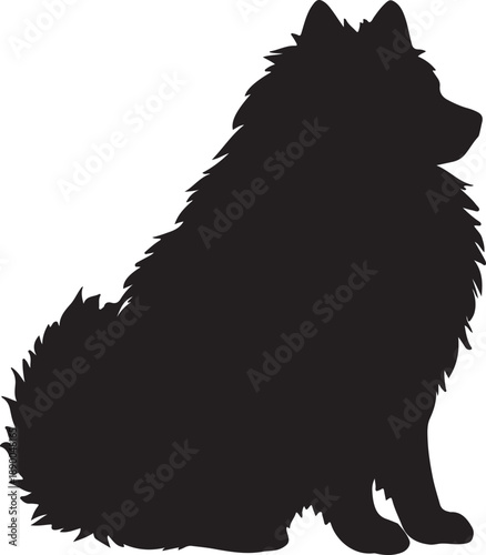 A striking silhouette of a fluffy dog likely a shiba inu or similar breed