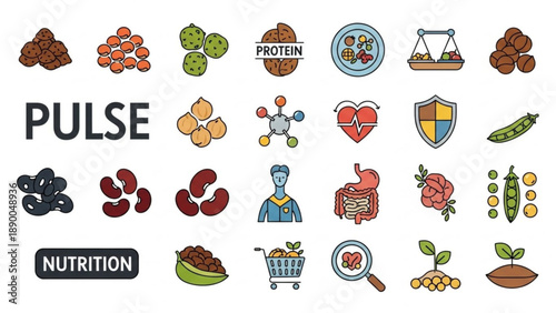 Nutrition and health icons set including food protein and wellness symbols in colorful illustration style on white background