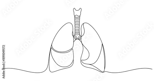 Minimalist line art of human lungs with trachea in simple black outline. No editable stroke
