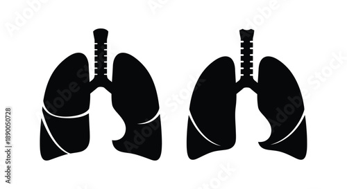 Anatomical illustration of human lungs in black silhouette