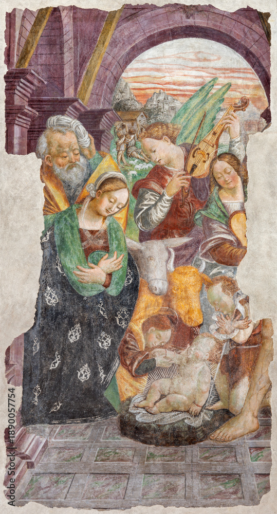 Obraz premium NOVARA, ITALY - JANUARY 16, 2026: The detail of renaissance fresco of Nativity in the church Basilica di San Gaudenzio from 16. cent. 