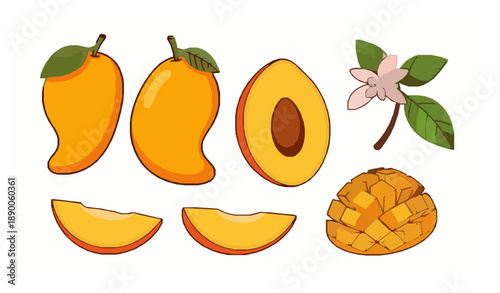 Cartoon Mango Fruit Collection with Sliced Halves and Diced Pieces Isolated on White