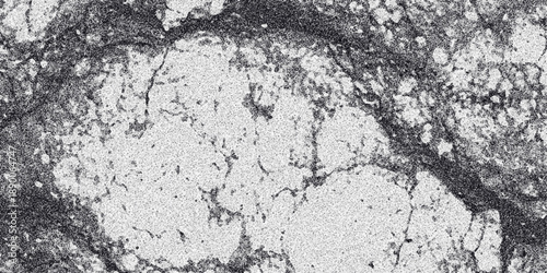 Abstract grayscale texture resembling cracked earth or a cellular structure with granular detail and organic lines, perfect for backgrounds and conceptual art