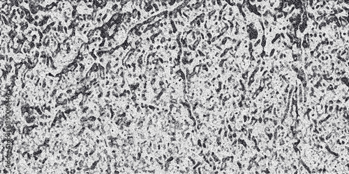 Abstract textured monochrome background with organic patterns and intricate details resembling natural formations or cellular structures in a high-contrast black and white palette, perfect for