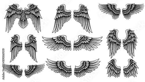 Vintage Woodcut Eagle Wings Vector Collection: Hand-Drawn Heraldic Etching & Engraving Style for Coat of Arms & Logos
