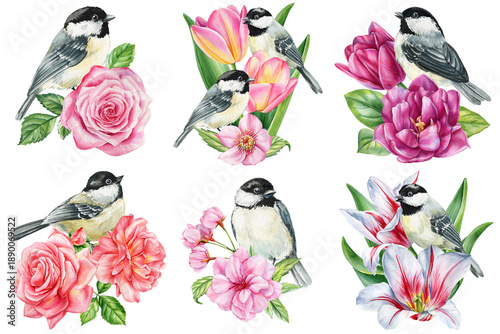 Chickadee bird floral set with rose tulip peony lily and cherry blossoms watercolor bouquets isolated on white