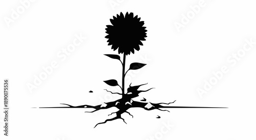 A solitary sunflower emerges from cracked earth, symbolizing resilience and new beginnings.